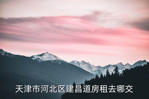 天津市河北區建昌道商捕出租房，天津河北區租房