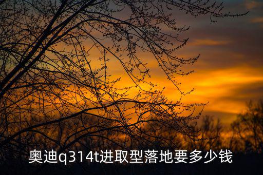 廣州晨峰奧迪q3落地價，奧迪q314t進取型落地要多少錢