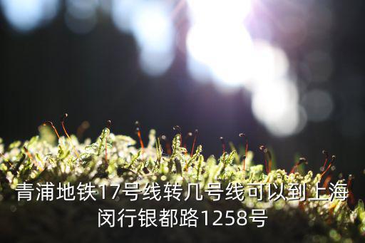 上海市青浦17號地鐵站，青浦地鐵17號線轉幾號線可以到上海閔行銀都路1258號