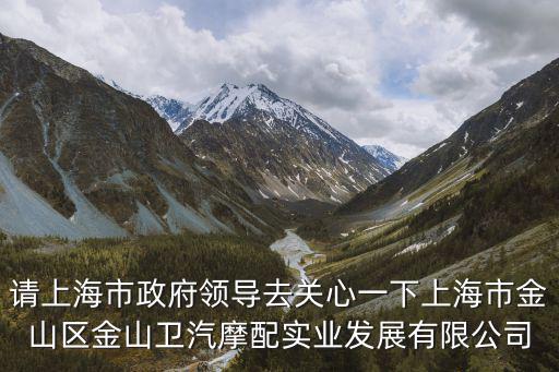 請上海市政府領(lǐng)導(dǎo)去關(guān)心一下上海市金山區(qū)金山衛(wèi)汽摩配實(shí)業(yè)發(fā)展有限公司