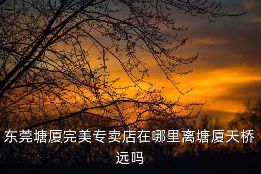 東莞塘廈飛行俠，我和老婆結婚2年多了沒孩子不知道是誰有問題我們在東莞塘廈