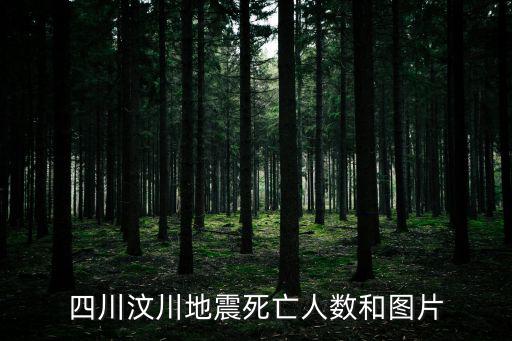 四川汶川地震死亡人數(shù)和圖片