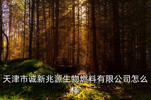 天津市誠新兆源生物燃料有限公司怎么樣