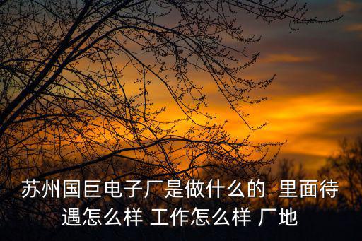 蘇州國巨電子廠是做什么的  里面待遇怎么樣 工作怎么樣 廠地