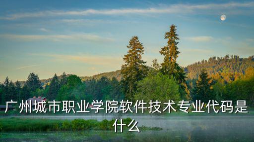 廣州城市職業學院軟件技術專業代碼是什么
