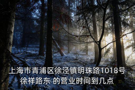 上海市青浦區徐涇鎮明珠路1018號徐祥路東 的營業時間到幾點