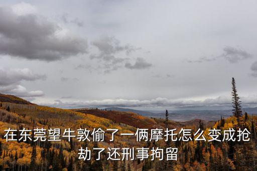 在東莞望牛敦偷了一倆摩托怎么變成搶劫了還刑事拘留