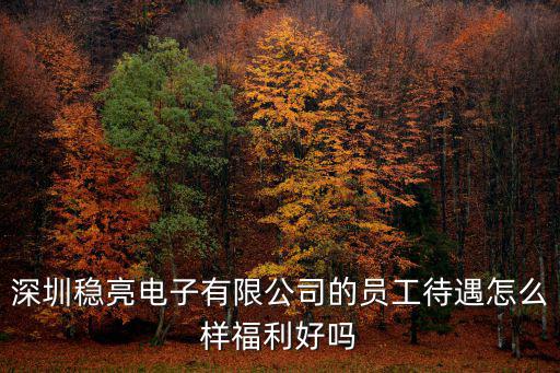 深圳穩(wěn)亮電子有限公司的員工待遇怎么樣福利好嗎