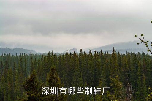 深圳市正中和實業有限公司，深圳中正集團有限公司怎么樣