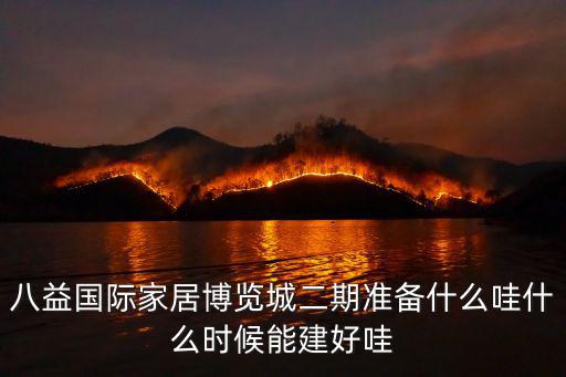八益國際家居博覽城二期準備什么哇什么時候能建好哇