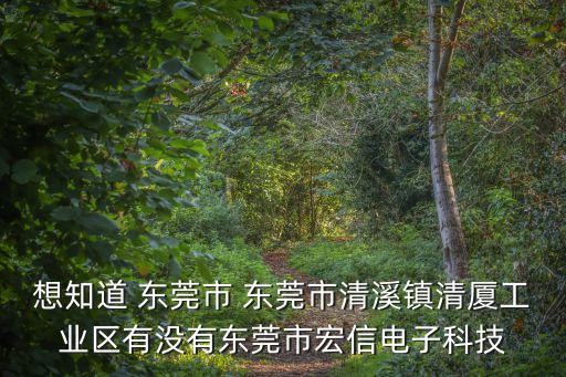 想知道 東莞市 東莞市清溪鎮清廈工業區有沒有東莞市宏信電子科技