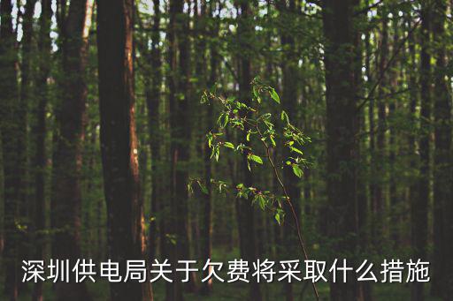 深圳供電局關于欠費將采取什么措施
