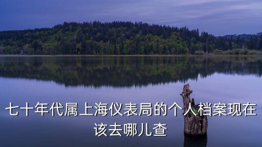 七十年代屬上海儀表局的個人檔案現(xiàn)在該去哪兒查