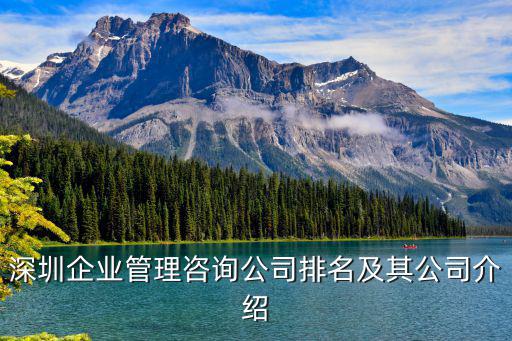 深圳企業管理咨詢公司排名及其公司介紹