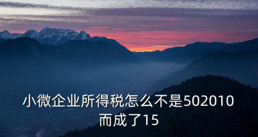 小微企業所得稅怎么不是502010而成了15