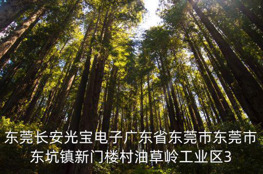 東莞長安光寶電子廣東省東莞市東莞市東坑鎮新門樓村油草嶺工業區3