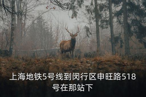 上海市閔行區(qū)雙柏路518，求上海市閔行區(qū)華翔路3138號位置不需要路線圖就地圖上的位置