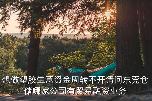 想做塑膠生意資金周轉不開請問東莞倉儲哪家公司有貿易融資業務