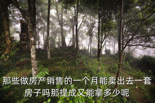 那些做房產(chǎn)銷售的一個(gè)月能賣出去一套房子嗎那提成又能拿多少呢