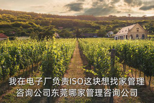 我在電子廠負責ISO這塊想找家管理咨詢公司東莞哪家管理咨詢公司