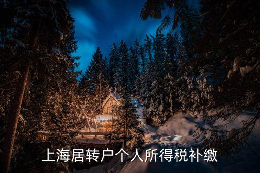 上海居轉(zhuǎn)戶個人所得稅補(bǔ)繳