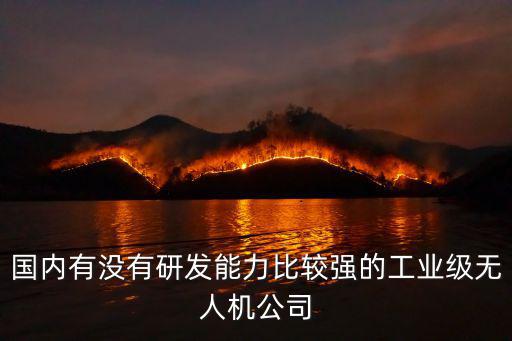 國(guó)內(nèi)有沒有研發(fā)能力比較強(qiáng)的工業(yè)級(jí)無人機(jī)公司