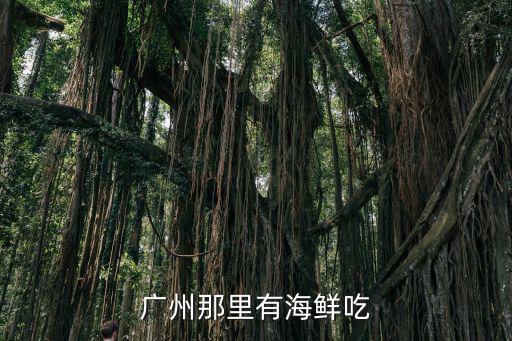 廣州那里有海鮮吃