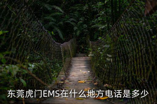 東莞虎門EMS在什么地方電話是多少
