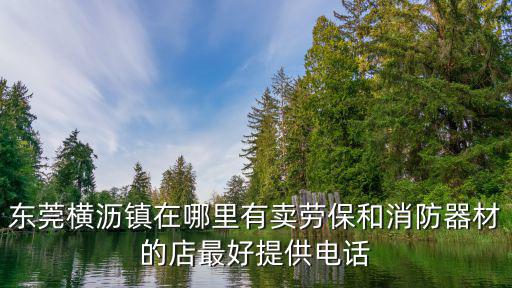 東莞橫瀝鎮(zhèn)在哪里有賣勞保和消防器材的店最好提供電話