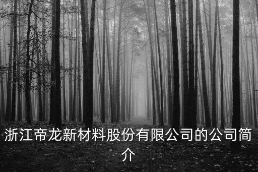 浙江帝龍新材料股份有限公司的公司簡(jiǎn)介