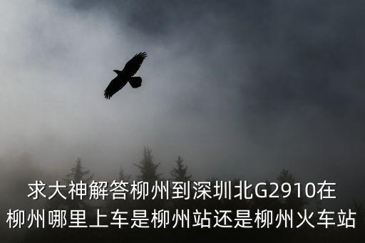 求大神解答柳州到深圳北G2910在柳州哪里上車是柳州站還是柳州火車站