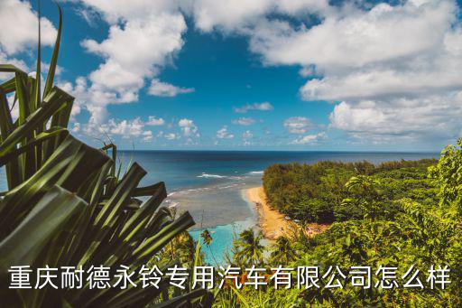 重慶耐德永鈴專用汽車有限公司怎么樣