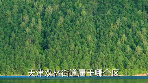 天津雙林街道屬于哪個(gè)區(qū)