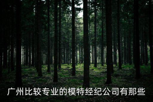 廣州比較專業(yè)的模特經(jīng)紀(jì)公司有那些