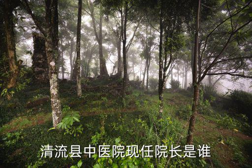 上海市臺辦 李文輝，閻肅的愛人李文輝還在世么
