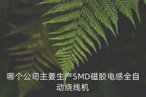 哪個公司主要生產(chǎn)SMD磁膠電感全自動繞線機