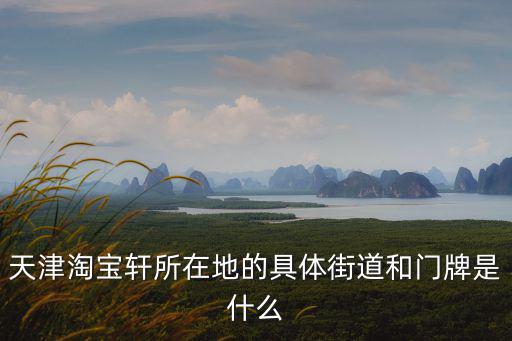 天津淘寶軒所在地的具體街道和門牌是什么