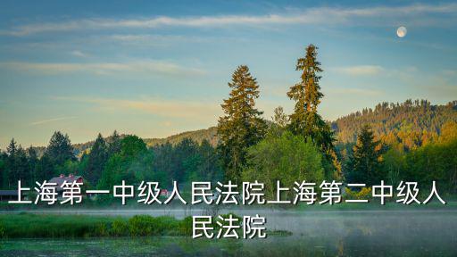 上海第一中級人民法院上海第二中級人民法院