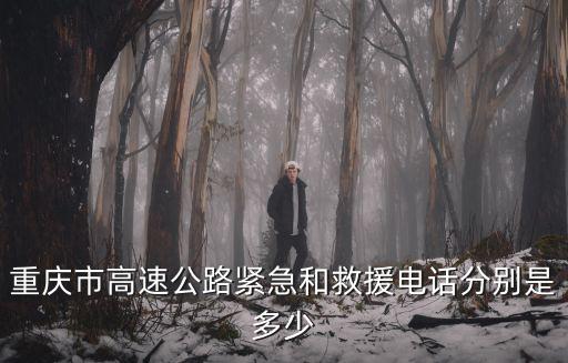 重慶市防汛辦電話，重慶市高速公路緊急和救援電話分別是多少