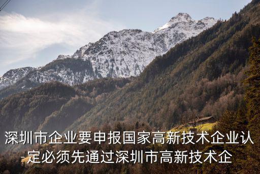 深圳市總部企業(yè)認定，在深圳如何申請企業(yè)標準具體操作步驟有哪些