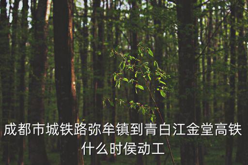 成都市城鐵路彌牟鎮到青白江金堂高鐵什么時侯動工