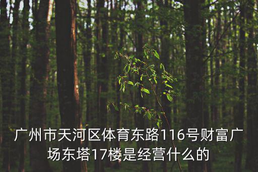 廣州財富廣場兇宅，體育東路財富廣場116號東塔