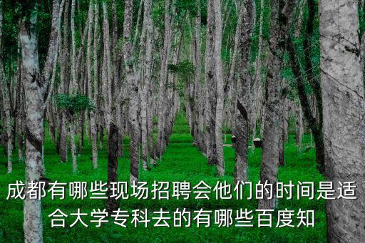 成都市計算機最新招聘信息，成都賽恩計算機網絡技術有限公司怎么樣