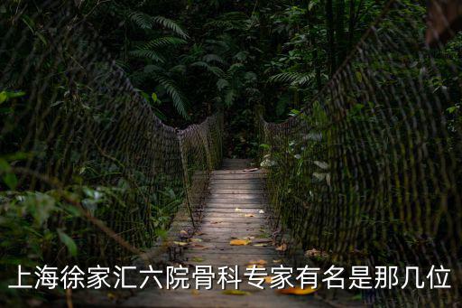 上海徐家匯六院骨科專家有名是那幾位
