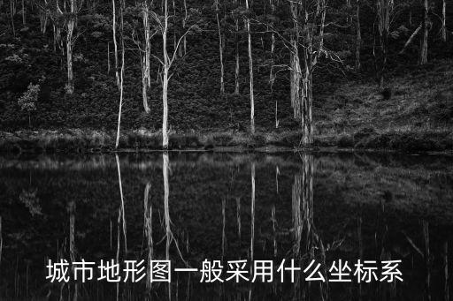 城市地形圖一般采用什么坐標系