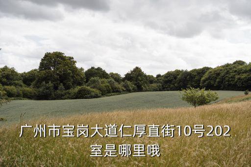 廣州市寶崗大道仁厚直街10號202室是哪里哦