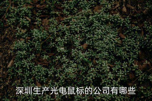 深圳生產光電鼠標的公司有哪些