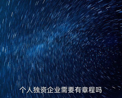 個(gè)人獨(dú)資企業(yè)需要有章程嗎