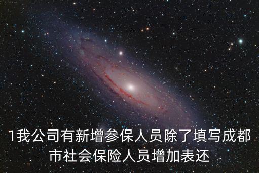 成都市社會保險人員減增加表，成都市社保人員增加表如何填寫