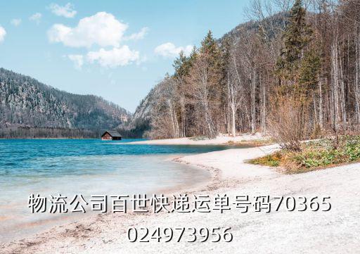 物流公司百世快遞運單號碼70365024973956